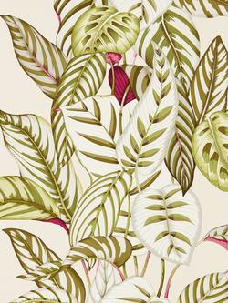 Sanderson Calathea Wallpaper, Dglw216631