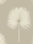 Sanderson Fan Palm Wallpaper, DGLW216637