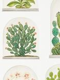 Sanderson Terrariums Wallpaper