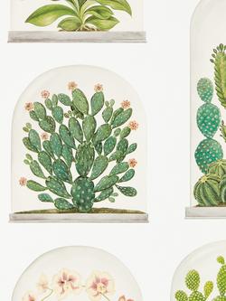 Sanderson Terrariums Wallpaper, Dglw216655