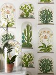 Sanderson Terrariums Wallpaper