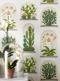 Sanderson Terrariums Wallpaper - view 2, Dglw216655
