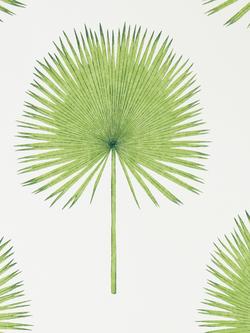 Sanderson Fan Palm Wallpaper, Dglw216636