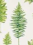 Sanderson Fernery Wallpaper