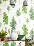 Sanderson Fernery Wallpaper