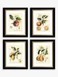 John Lewis 'Tuscan Fruit' Framed Prints & Mounts, Set of 4, 36.5 x 30.5cm, Orange/Multi