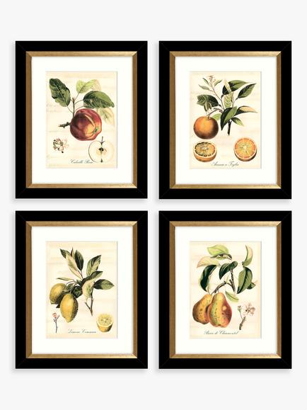 John Lewis 'Tuscan Fruit' Framed Prints & Mounts, Set of 4, 36.5 x 30.5cm, Orange/Multi, Orange/Multi
