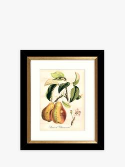 John Lewis 'Tuscan Fruit' Framed Prints & Mounts, Set of 4, 36.5 x 30.5cm, Orange/Multi - view 2, Orange/Multi