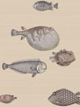 Cole & Son Acquario Wallpaper, 114/16033