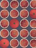 Cole & Son Arance Wallpaper