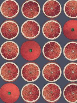 Cole & Son Arance Wallpaper, 114/24046