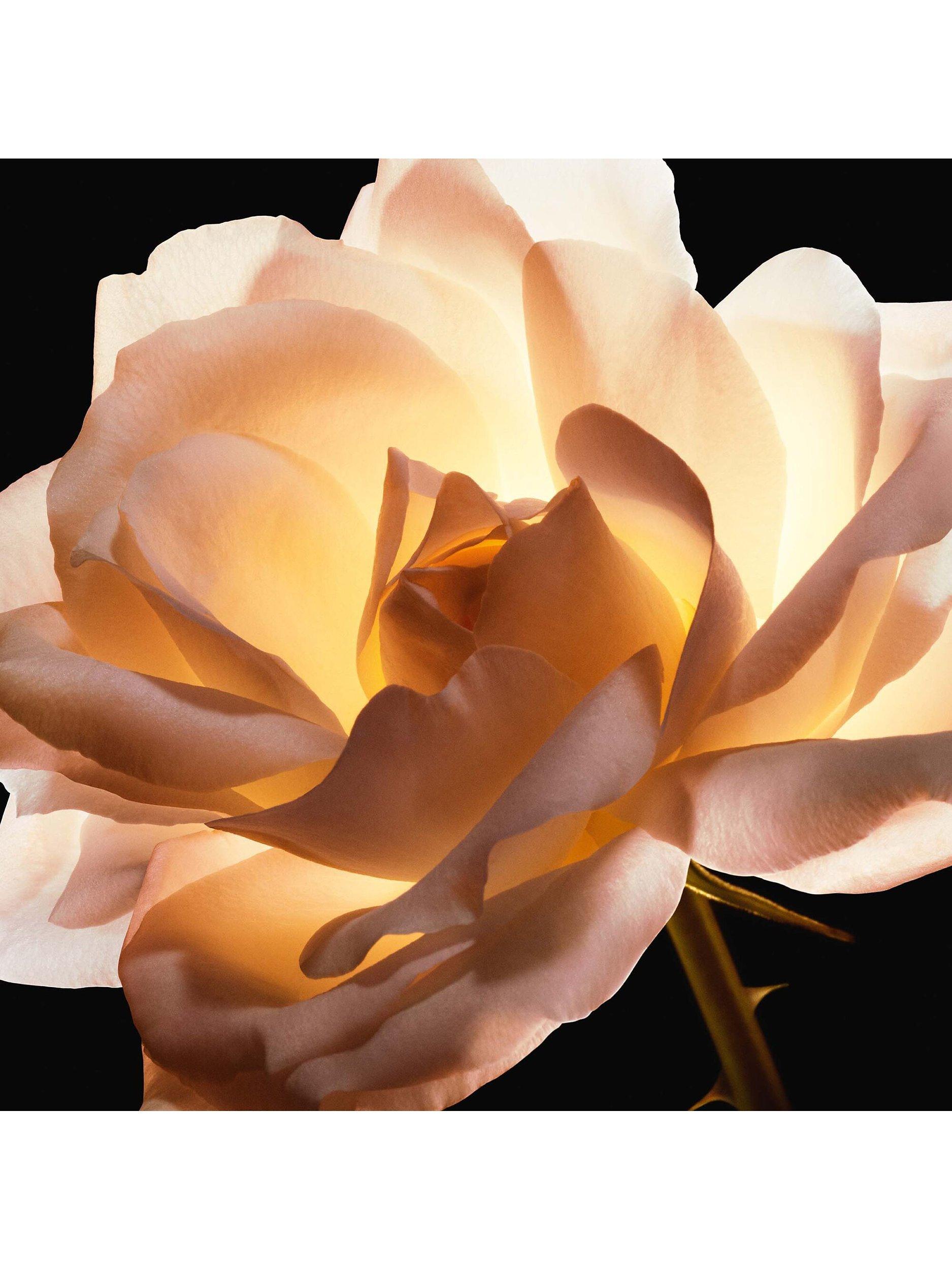 Product image 7 of 8, which shows DIOR Prestige Le Micro-Fluide Teint de Rose Foundation SPF 25, 1CR Cool Rosy
