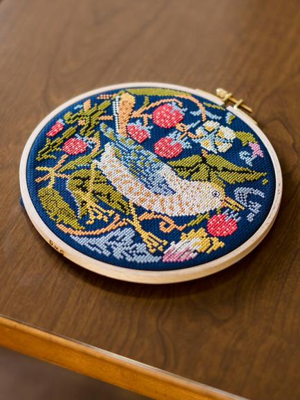 DMC William Morris Strawberry Thief Cross Stitch Kit, 
