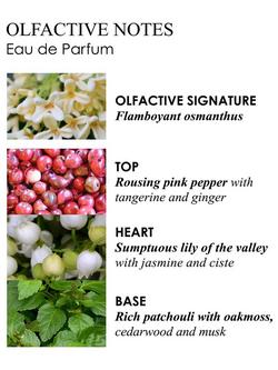 Molton Brown Fiery Pink Pepper Eau de Parfum, 100ml - view 2, 