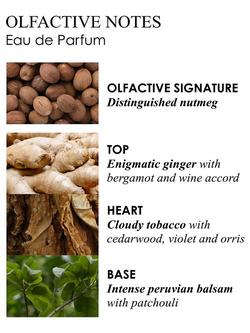 Molton Brown Tobacco Absolute Eau de Parfum, 100ml - view 2, 