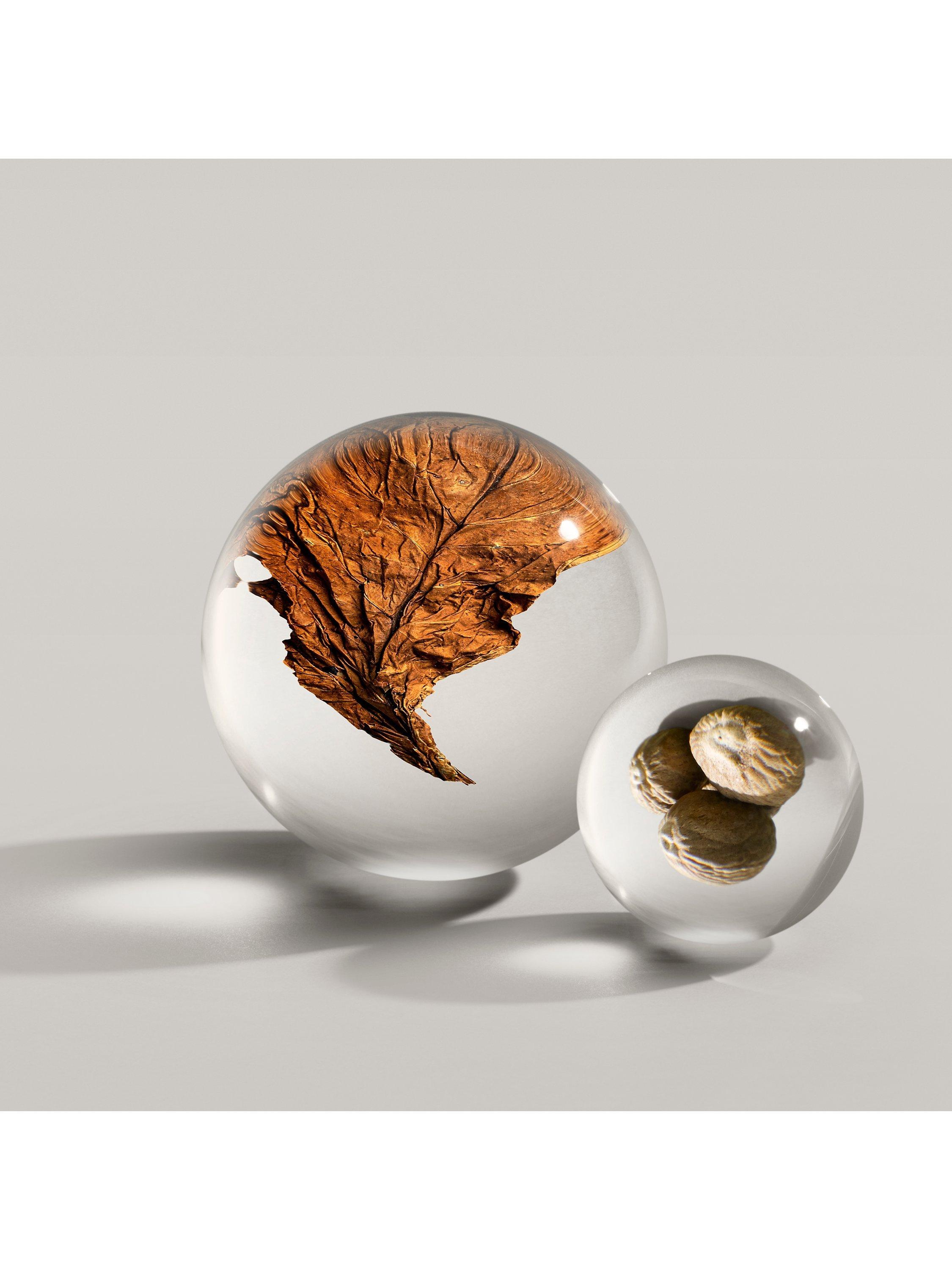 Product image 3 of 3, which shows Molton Brown Tobacco Absolute Eau de Parfum, 100ml