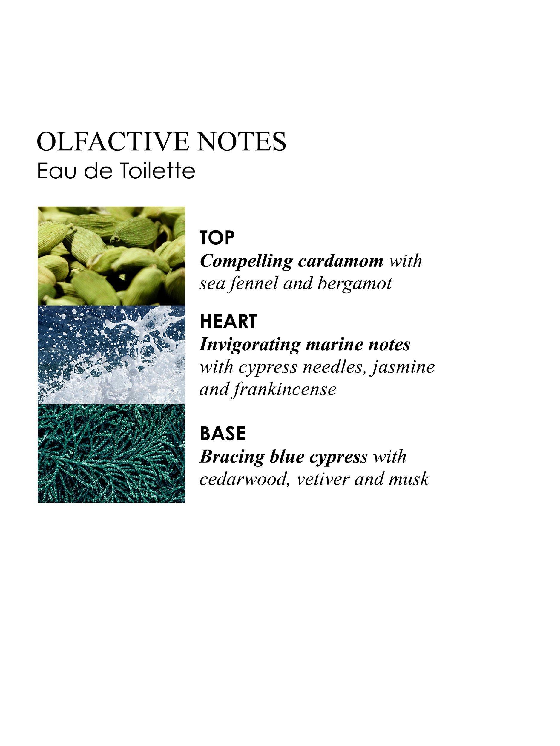 Product image 2 of 6, which shows Molton Brown Coastal Cypress & Sea Fennel Eau de Toilette , 100ml