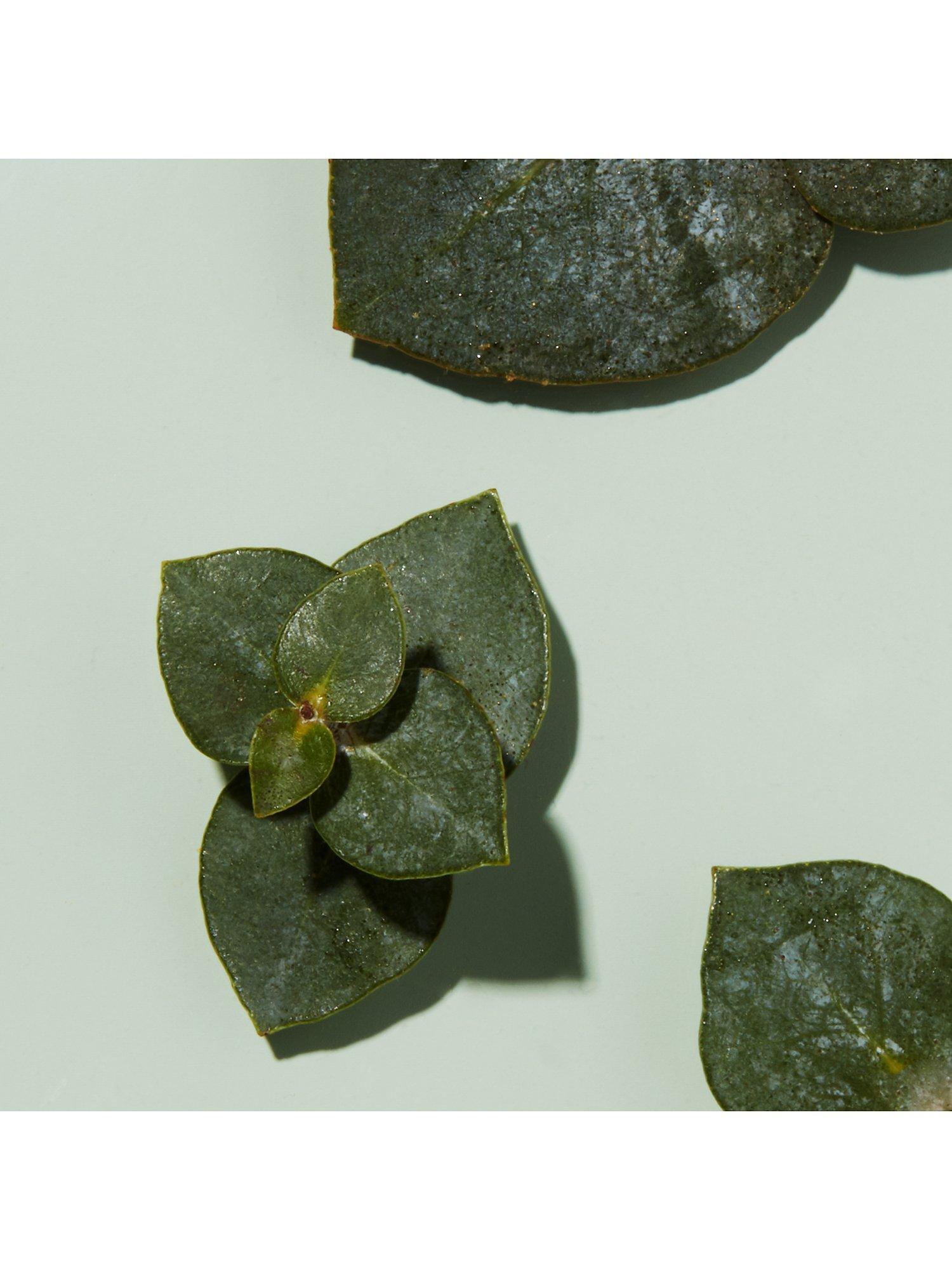 Product image 6 of 8, which shows EVE LOM Cleansing Oil Capsules Travel Pack, x 14