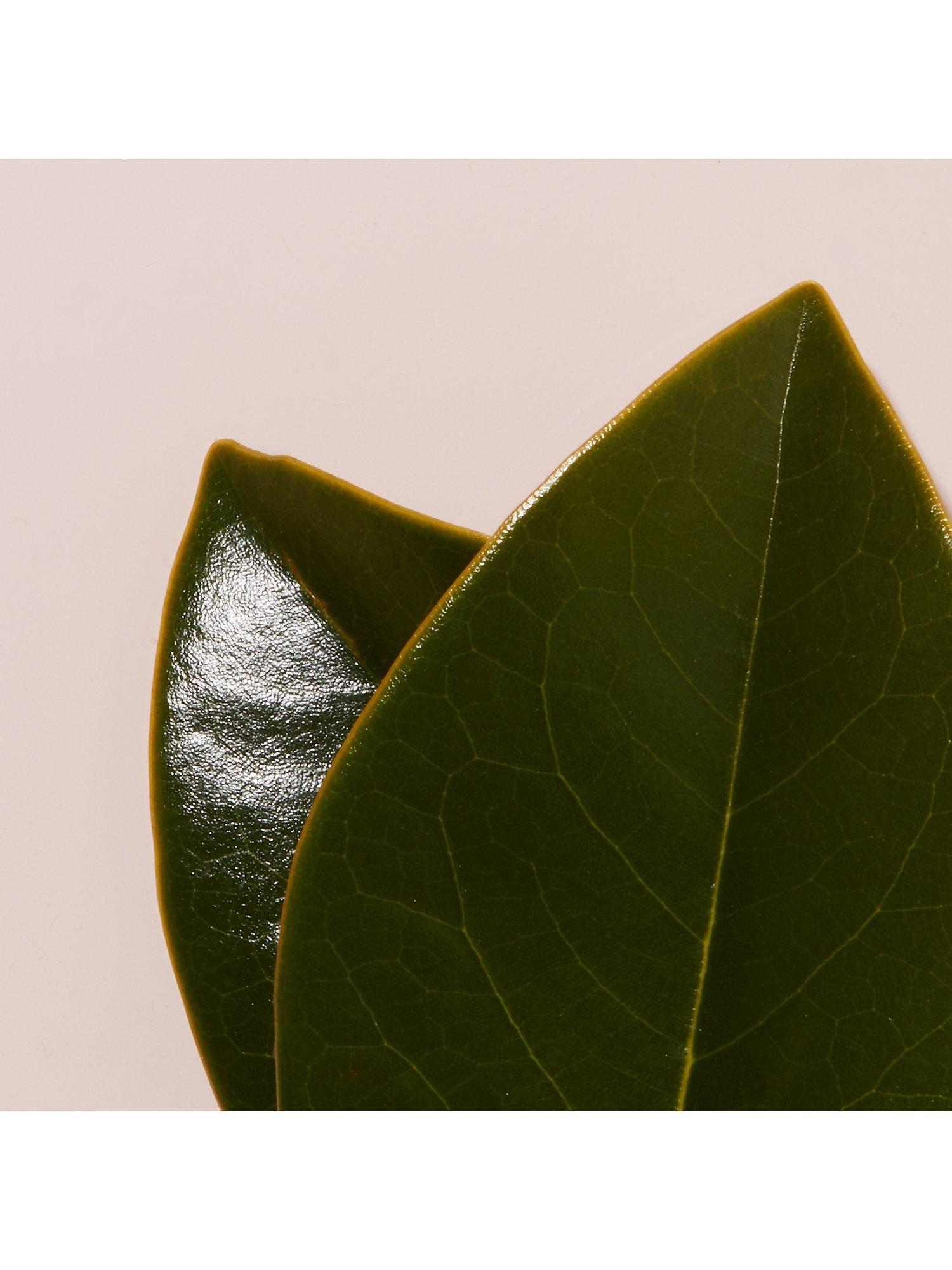 Product image 7 of 8, which shows EVE LOM Cleansing Oil Capsules Travel Pack, x 14