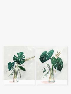 John Lewis 'Cheese Plant & Jar' Unframed Prints, Set of 2, 50 x 40cm, Green