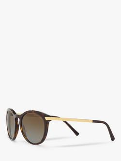Michael Kors MK2023 Women's Polarised Round Sunglasses, Tortoise/Brown Gradient - view 2, Tortoise/Brown Gradient