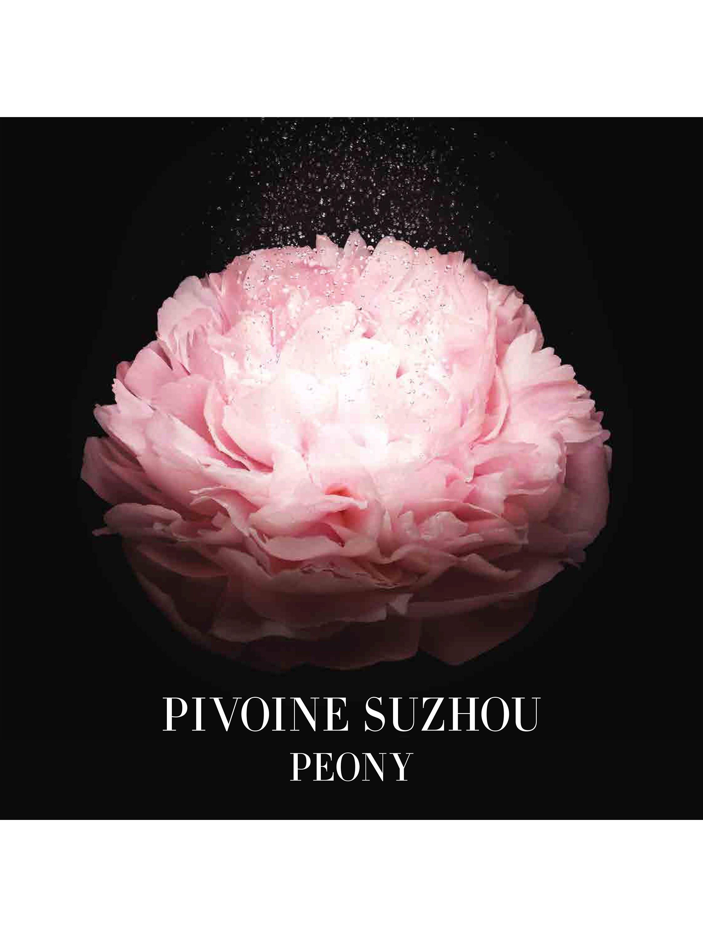 Product image 5 of 8, which shows Giorgio Armani / Privé Pivoine Suzhou Eau de Toilette, 50ml