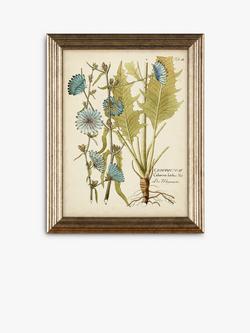 Botanical Florals Framed Prints, Set of 3, 47 x 37cm, Green/Multi - view 2, Green/Multi