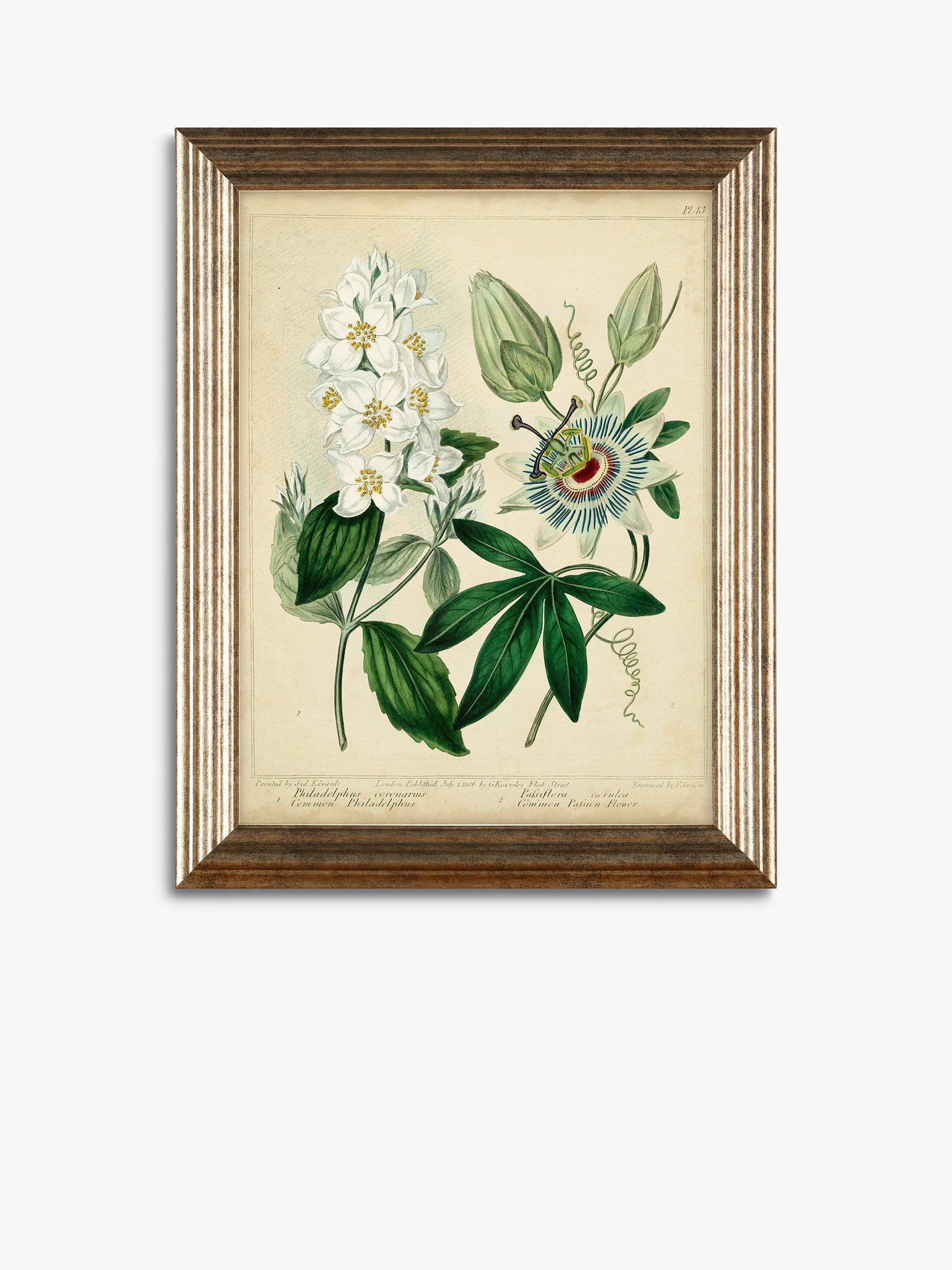 Group #7 set framed miniature prints: Florals, Pets, buying Still Lifes & Ancient Hands