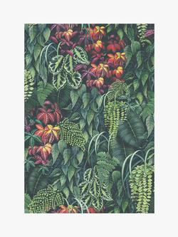 Osborne & Little Green Wall Wallpaper, Green W7330-01