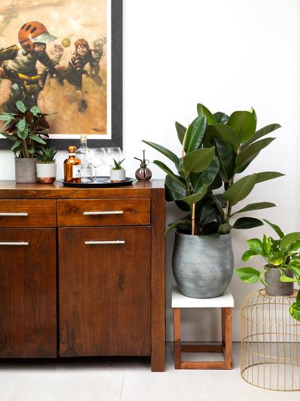 The Little Botanical Extra Large Rubber Ceramic Pot Plant - view 2, Multi