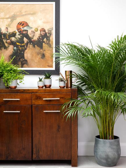 The Little Botanical XL Areca Palm Ceramic Pot Plant - view 2, Multi
