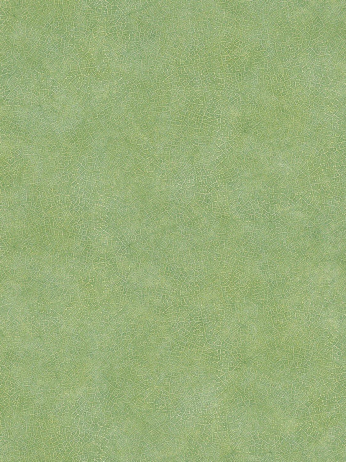 Galerie Veining Leaf Texture Wallpaper, 7333