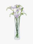 Dartington Crystal Bloom Lavender Glass Vase, H32cm, Clear