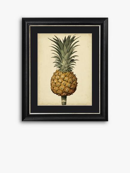 Brookpace Lascelles George Brookshaw 'Antique Pineapple II' Framed Print & Mount, 60 x 50cm, Black/Multi, Black/Multi