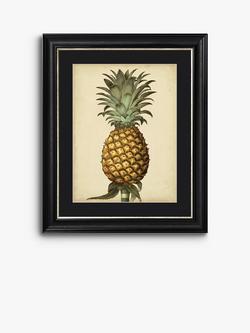 Brookpace Lascelles George Brookshaw 'Antique Pineapple I' Framed Print & Mount, 60 x 50cm, Black/Multi, Black/Multi
