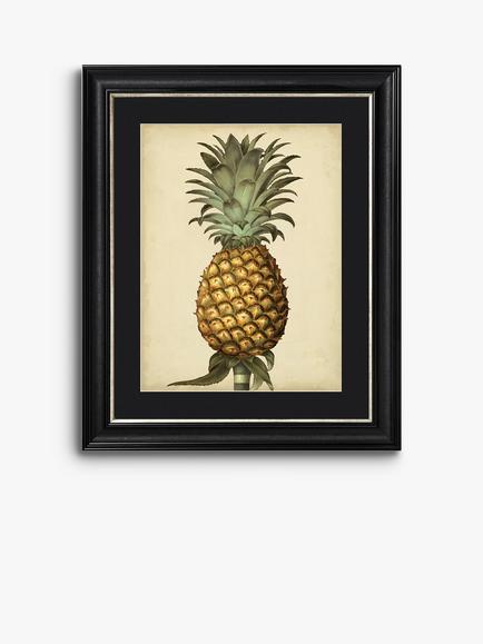 Brookpace Lascelles George Brookshaw 'Antique Pineapple I' Framed Print & Mount, 60 x 50cm, Black/Multi, Black/Multi