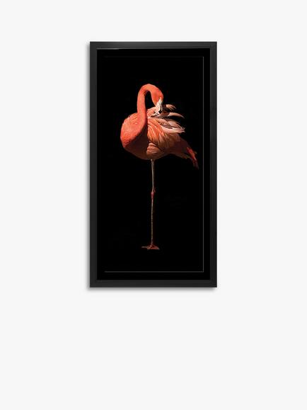 Flamingo II Framed Print & Mount, 101 x 51cm, Black/Pink, Black/White