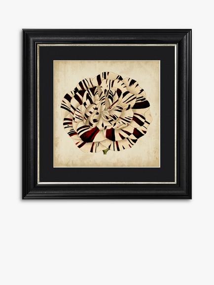 Pop Floral V Framed Print & Mount, 56 x 56cm, Black/White, Black/White