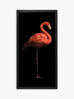 Flamingo I Framed Print & Mount, 101 x 51cm, Black/Pink, Black/Pink