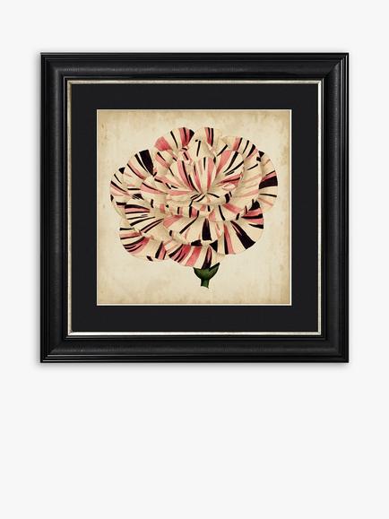 Pop Floral VI Framed Print & Mount, 56 x 56cm, Black/Pink, Black/Pink