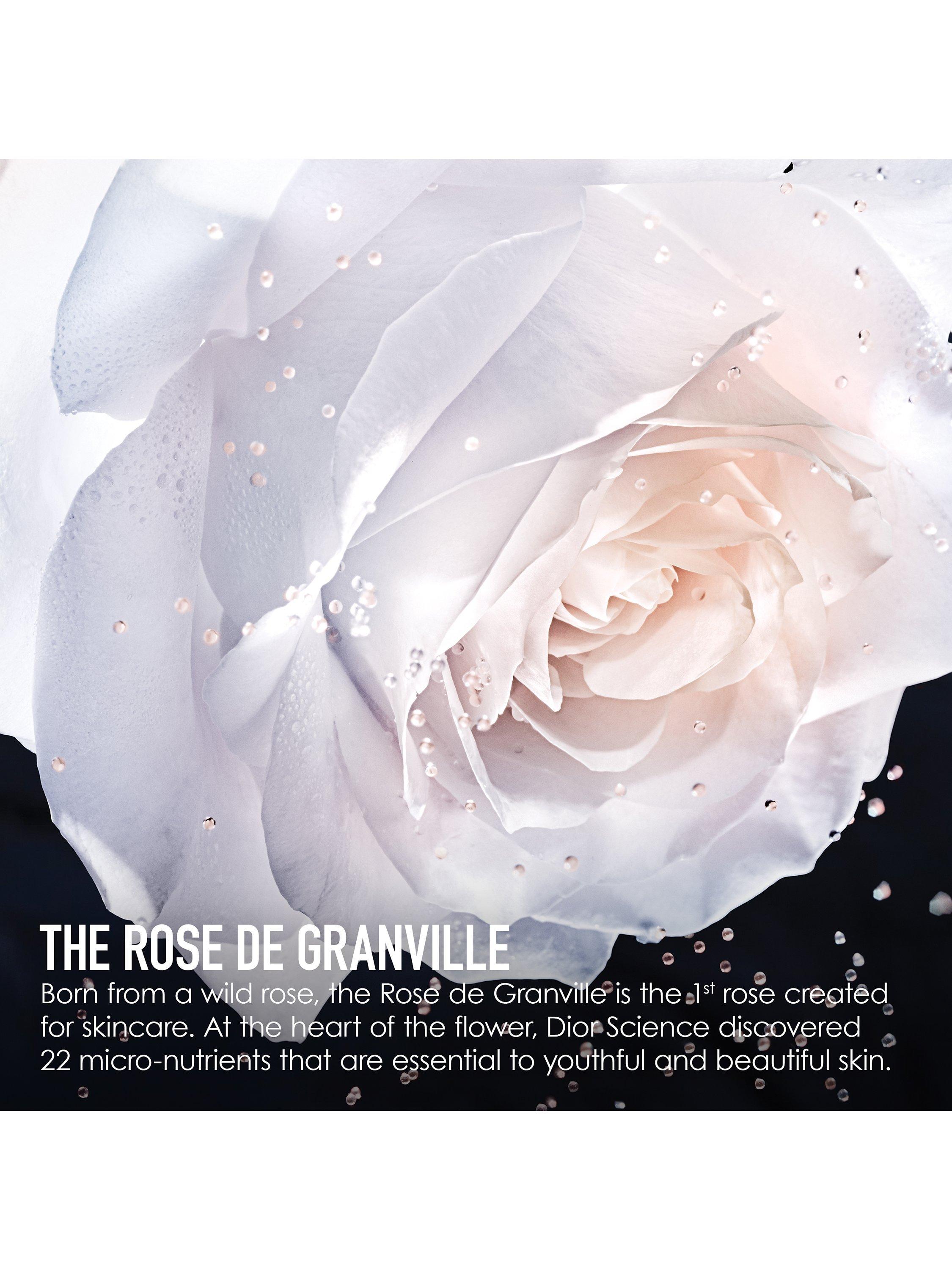 Product image 3 of 5, which shows DIOR Prestige Micro-Caviar de Rose - Nutritive Face Caviar, 75ml