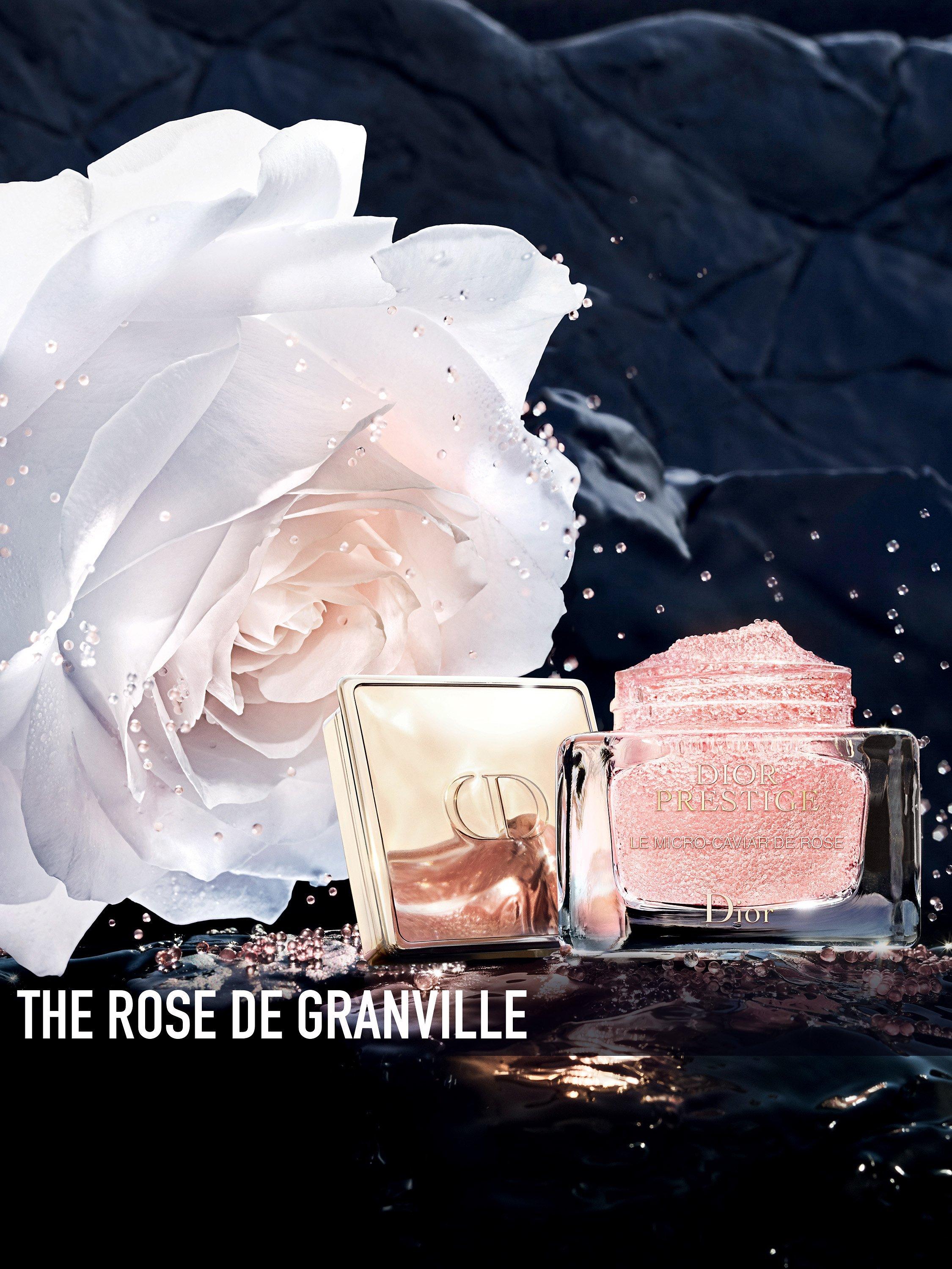 Product image 5 of 5, which shows DIOR Prestige Micro-Caviar de Rose - Nutritive Face Caviar, 75ml