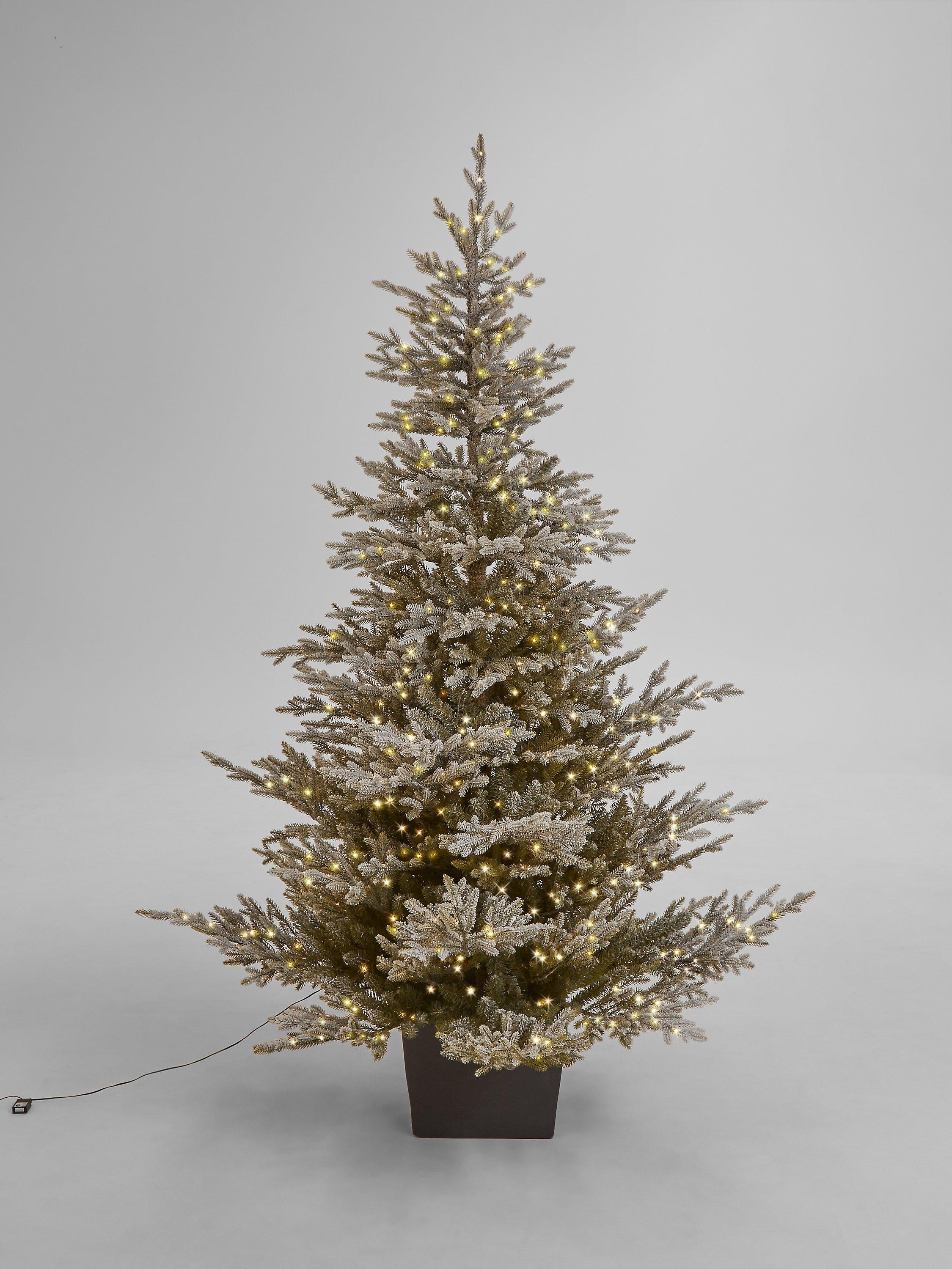 John Lewis & Partners Cotswold Snowy Potted Pre-lit Christmas Tree, 7ft