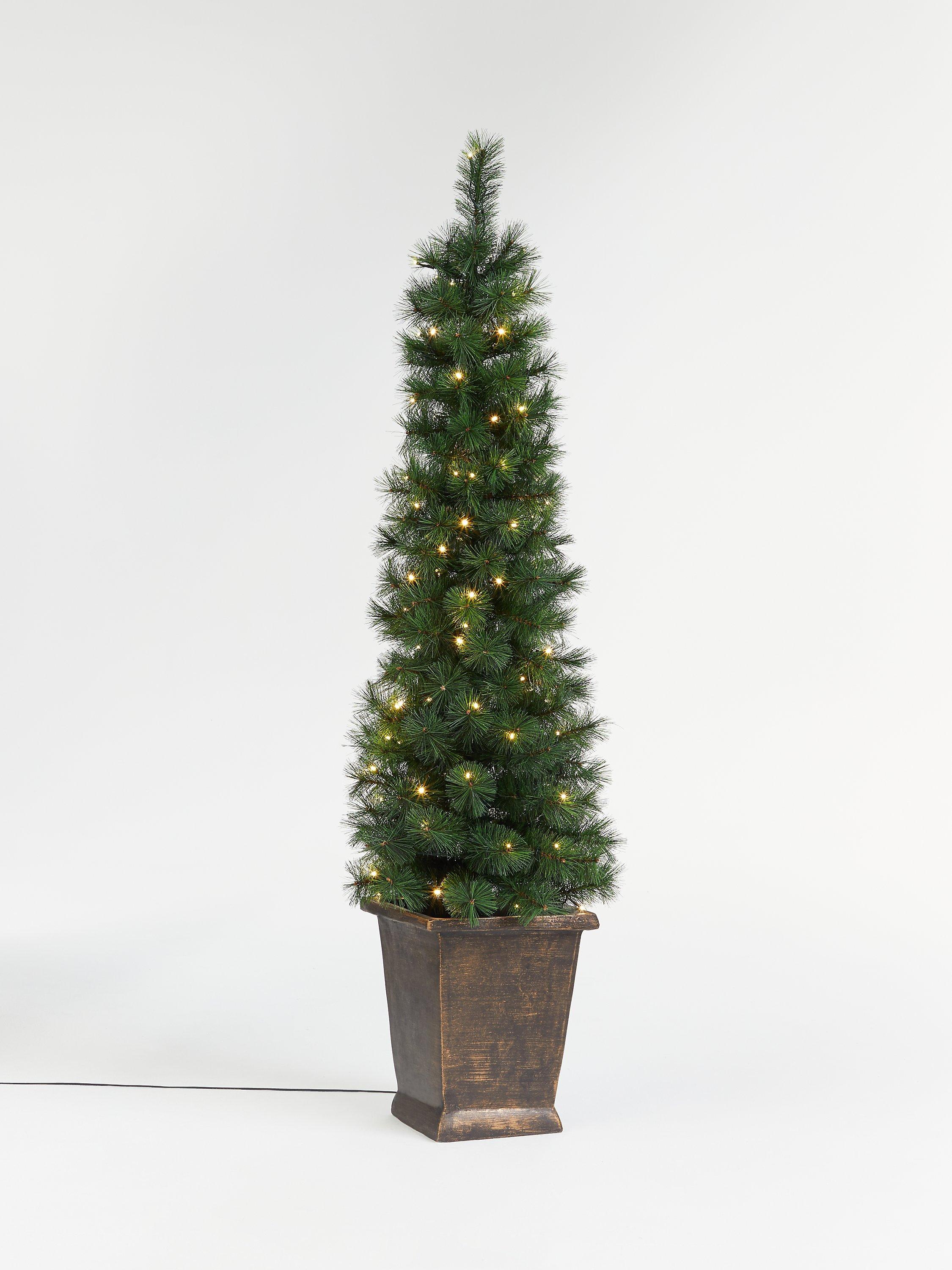 John Lewis & Partners Pencil Pine Potted Pre-lit Christmas Tree, 5ft