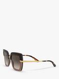 Dolce & Gabbana DG4373 Women's Square Sunglasses, Tortoiseshell/Brown