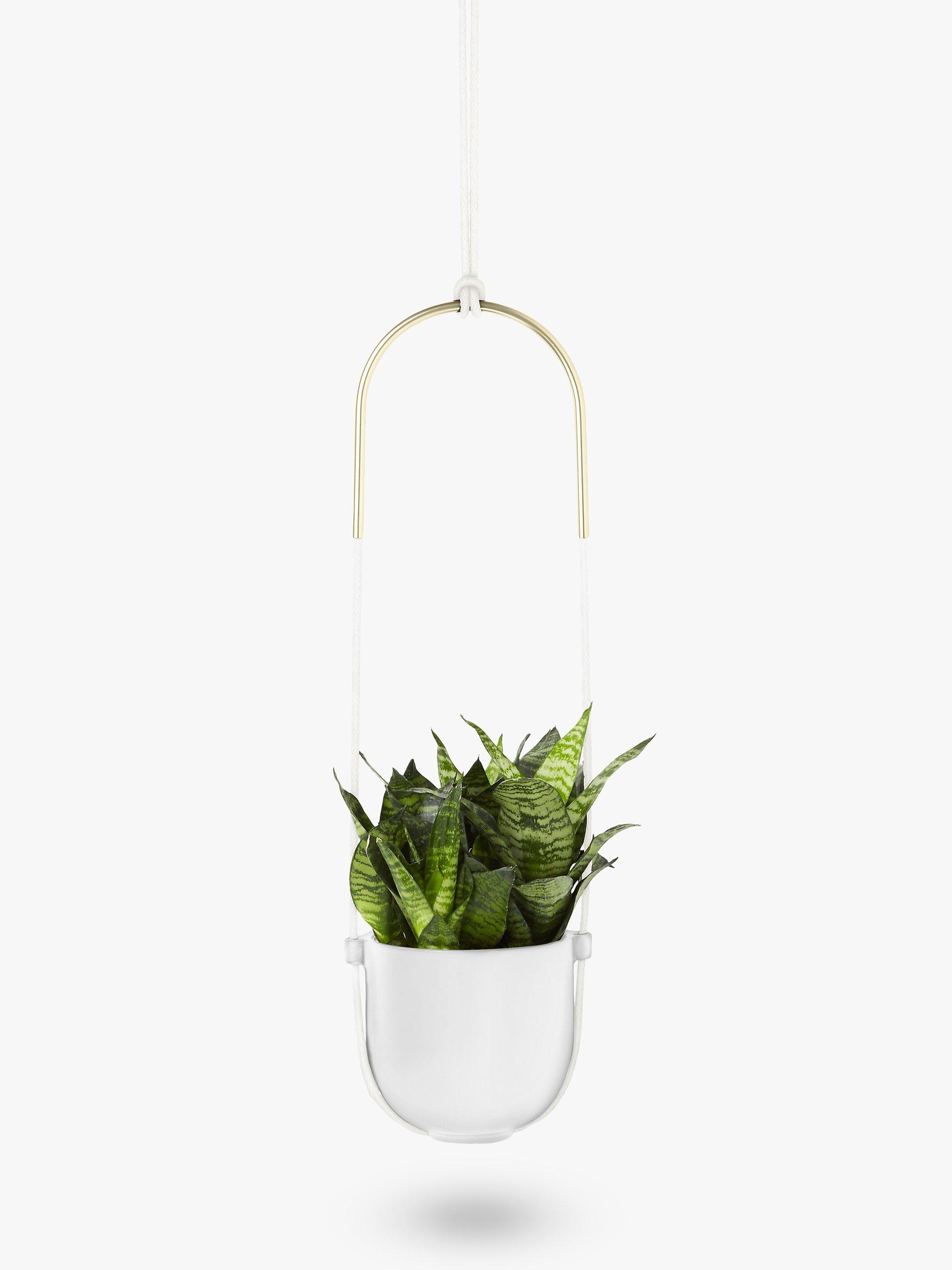 Umbra Bolo Hanging Planter, White/Brass
