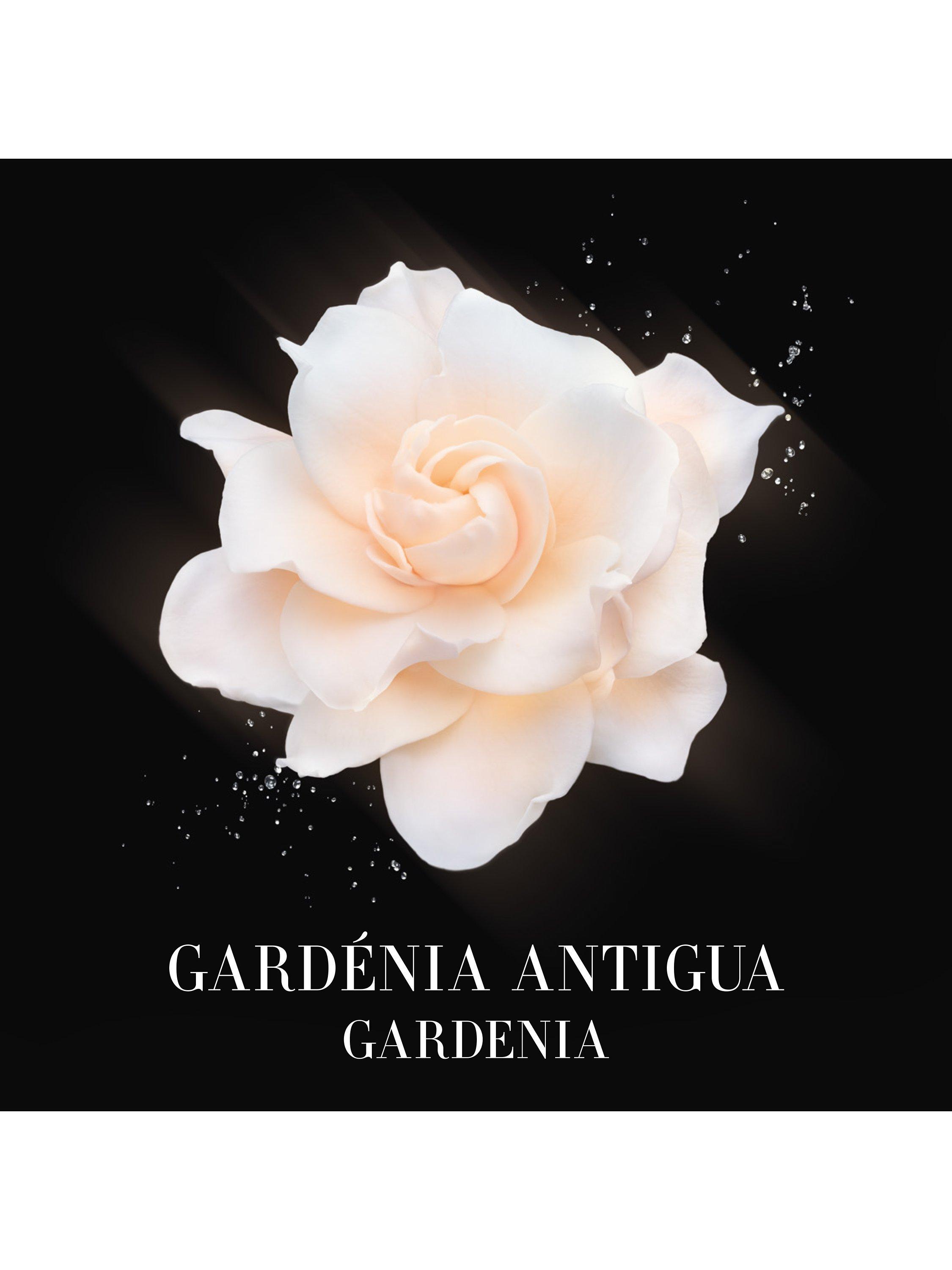 Product image 6 of 8, which shows Giorgio Armani / Privé Les Eaux Gardénia Antigua, 100ml