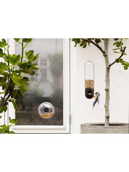 Eva Solo Window Bird Feeder - view 2, Clear