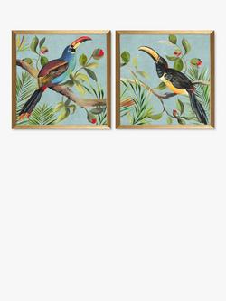 John Lewis Aimee Wilson Paradise Toucan Bird Framed Prints, Set of 2, 33 x 33cm, Blue/Multi, Blue/Multi