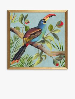 John Lewis Aimee Wilson Paradise Toucan Bird Framed Prints, Set of 2, 33 x 33cm, Blue/Multi - view 2, Blue/Multi